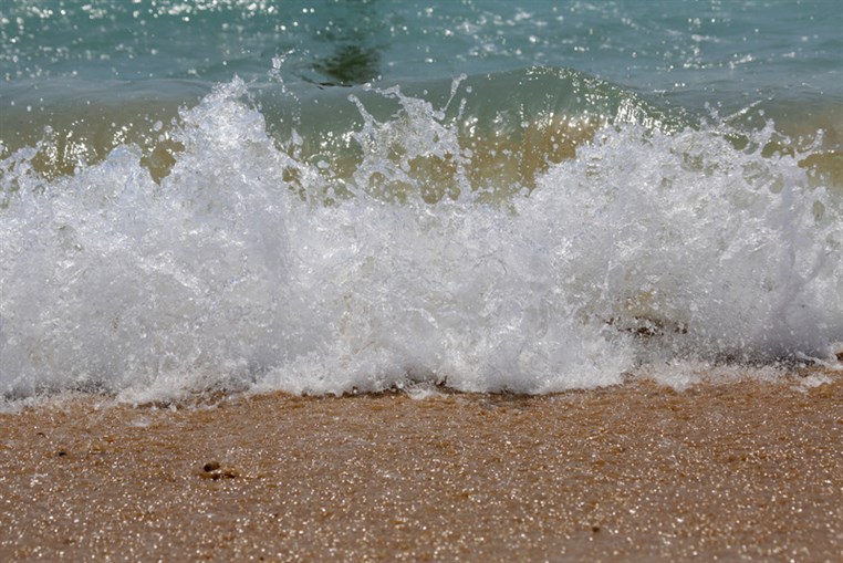 Edde Sands on Thursday 